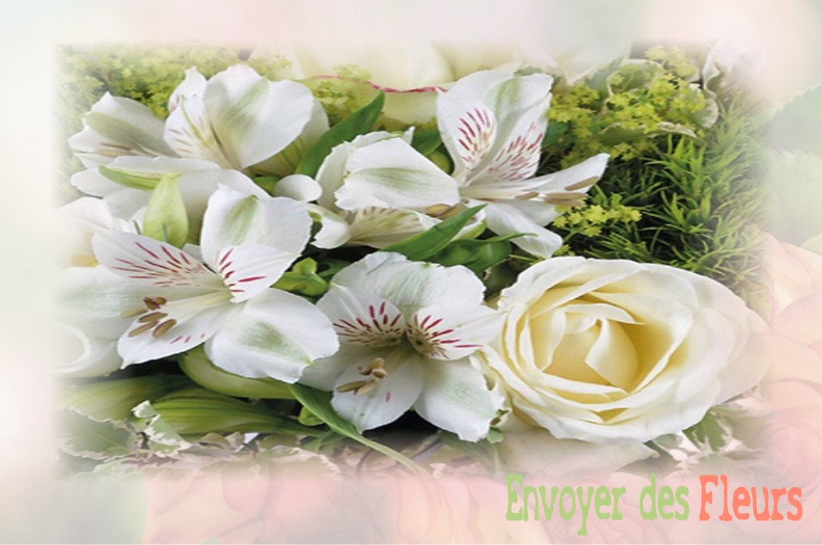 envoyer des fleurs à à SAINT-GILLES-DES-MARAIS